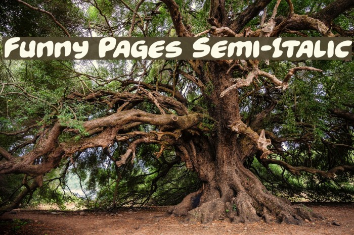 Funny Pages Semi-Italic Font examples