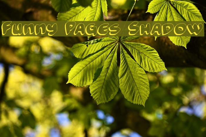 Funny Pages Shadow Font examples