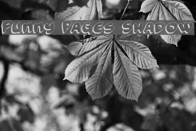 Funny Pages Shadow خط examples