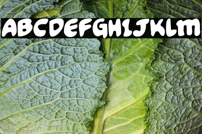 Funny Pages Example 1