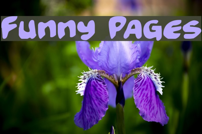 Funny Pages Font examples