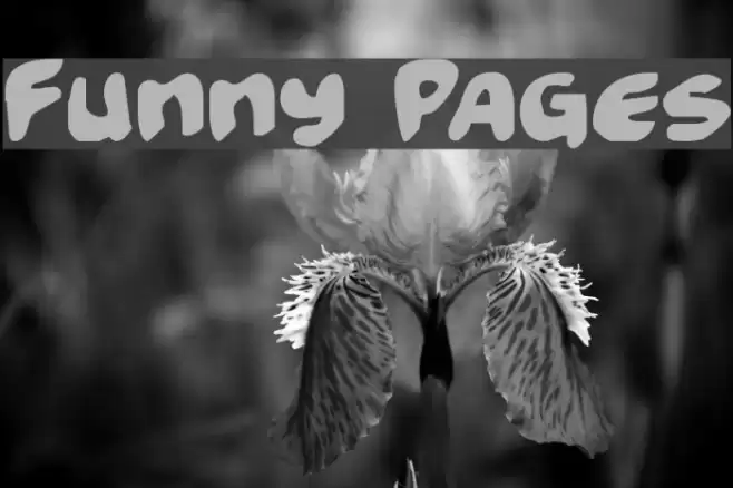 Funny Pages خط examples