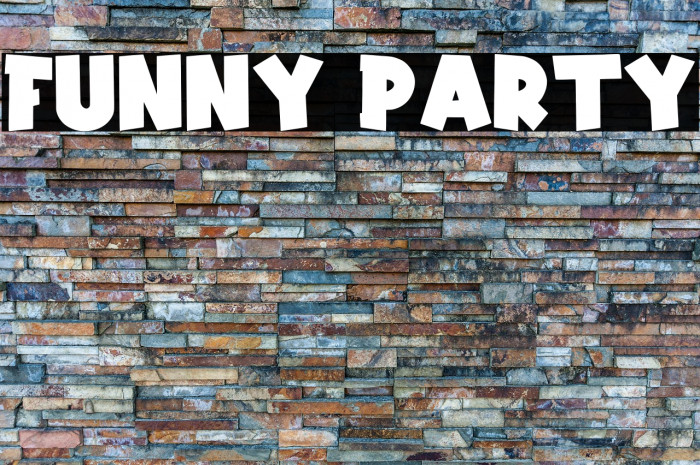 Funny Party Example 3