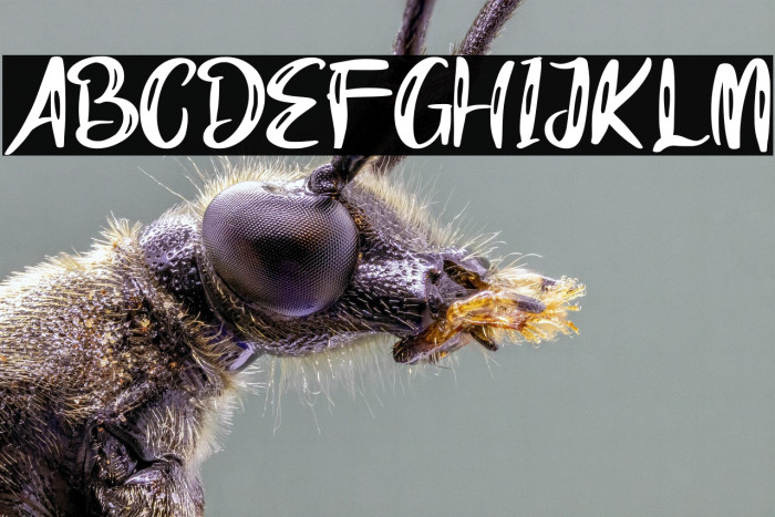 Funny Planet Example 1