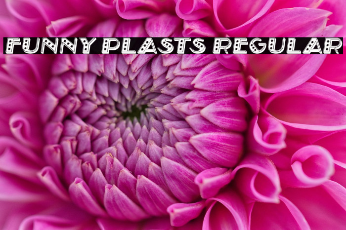 Funny Plasts Regular Example 1