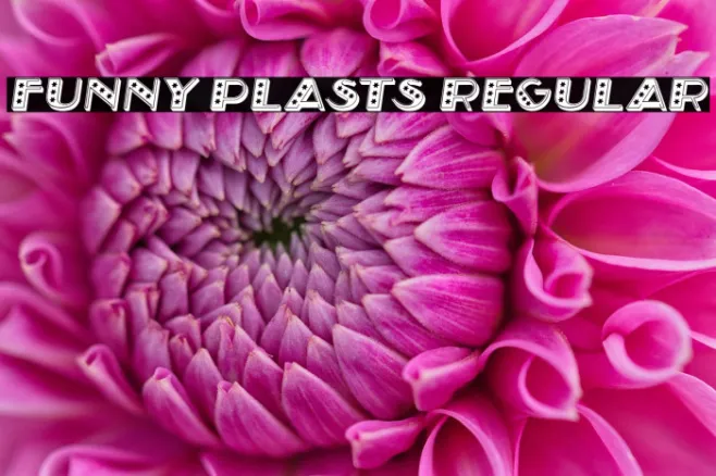Funny Plasts Regular Example 1