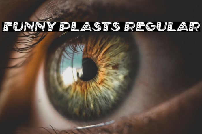 Funny Plasts Regular Example 2