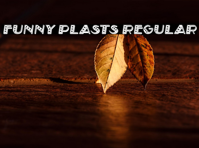 Funny Plasts Regular Example 3