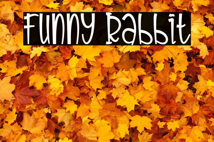 Funny Rabbit Example 1