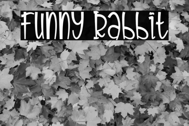 Funny Rabbit Caratteri examples
