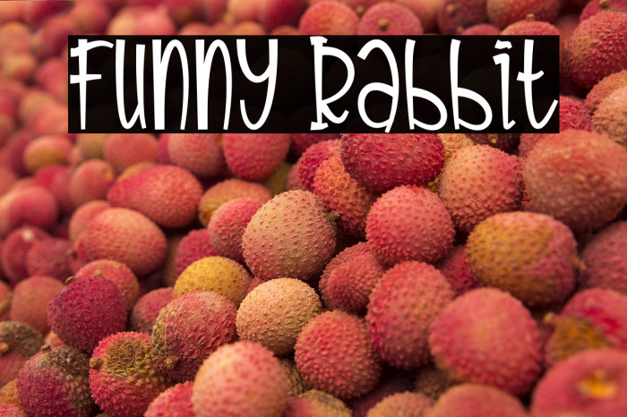 Funny Rabbit Example 2