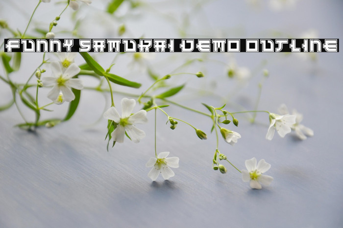 Funny Samurai Demo Outline Example 1