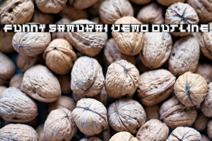 Funny Samurai Demo Outline Example 3