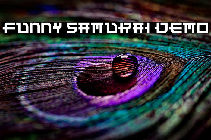 Funny Samurai Demo Example 2