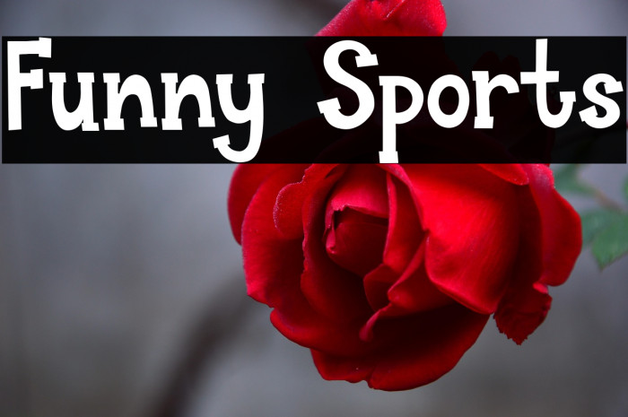 Funny Sports Example 1