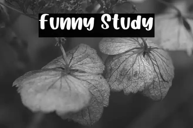Funny Study Fonte examples