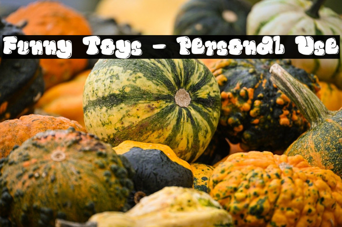 Funny Toys - Personal Use Example 2