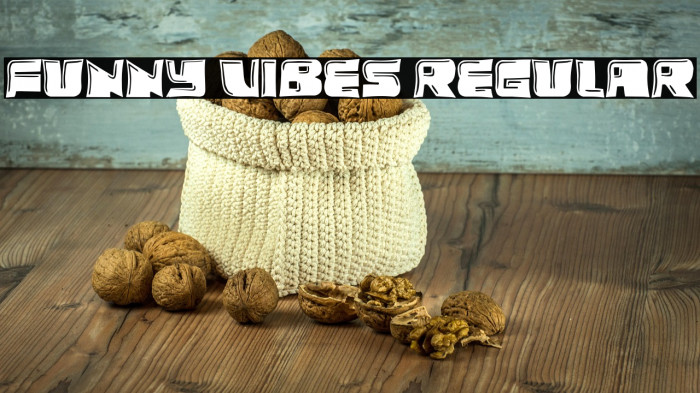 Funny Vibes Regular Example 1