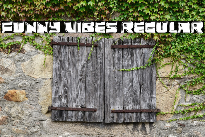 Funny Vibes Regular Example 2