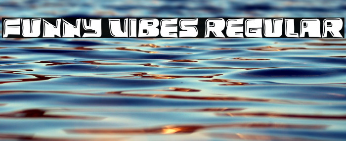 Funny Vibes Regular Example 3
