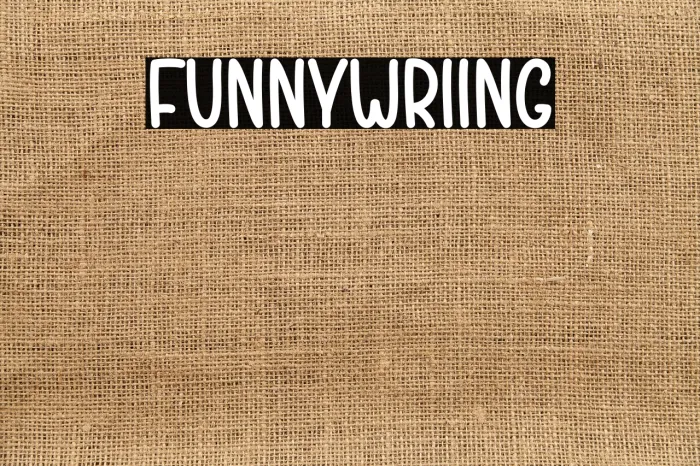 Funny Writing Example 1