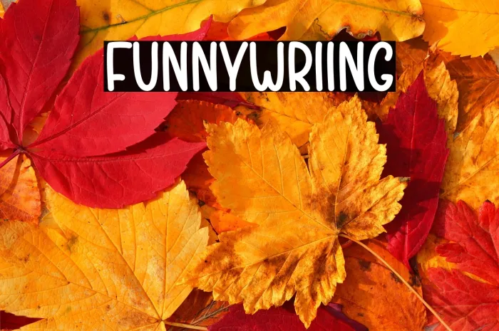 Funny Writing Example 2