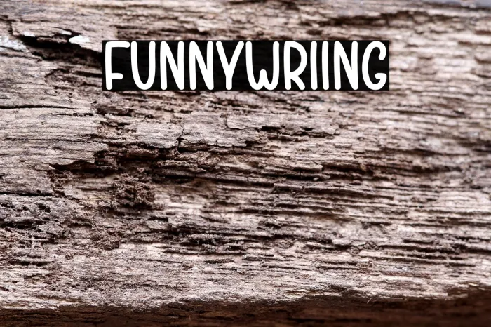 Funny Writing Example 3