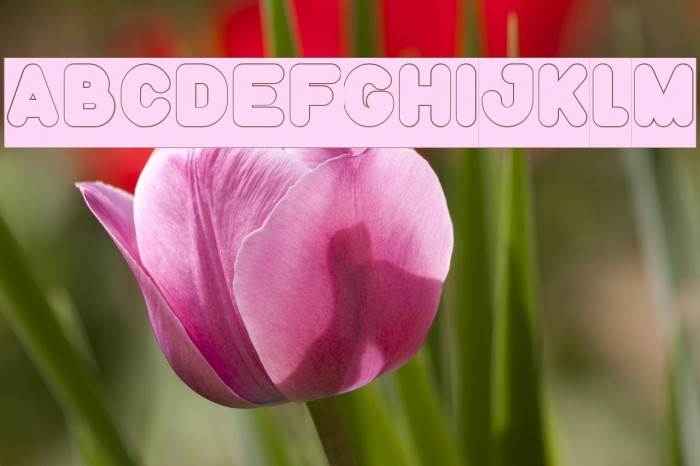 Funny and Cute-Hollow-Inverse Font examples