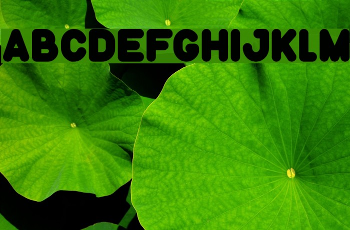 Funny and Cute-Light Font examples