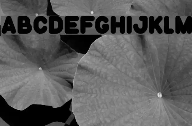 Funny and Cute-Light Font examples