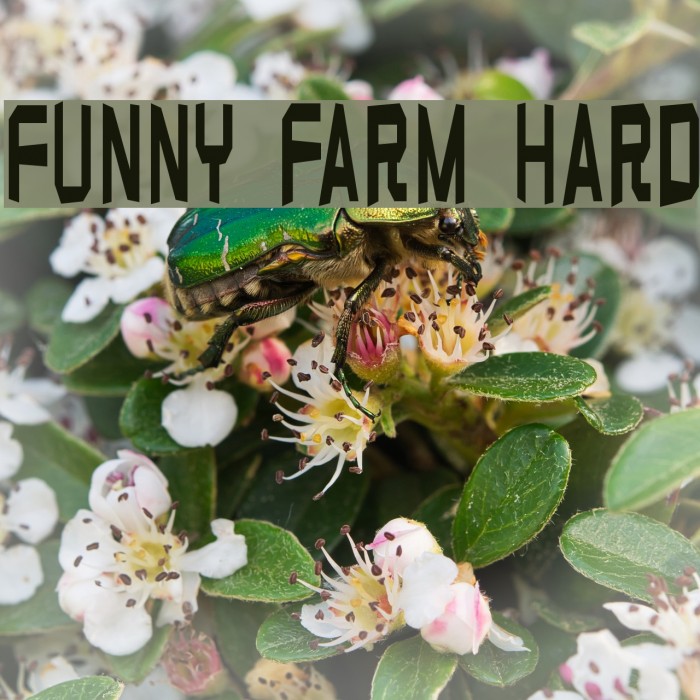 Funny farm hard Fuentes examples