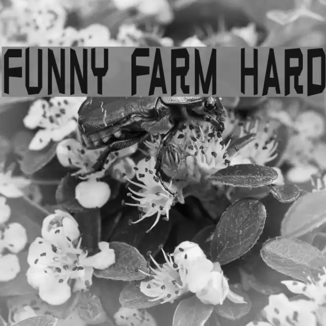 Funny farm hard フォント examples