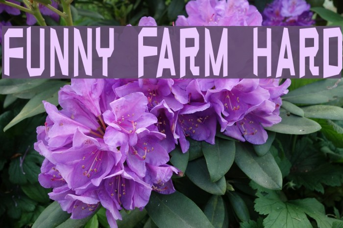 Funny farm hard Fuentes examples