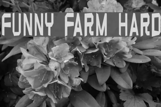Funny farm hard フォント examples