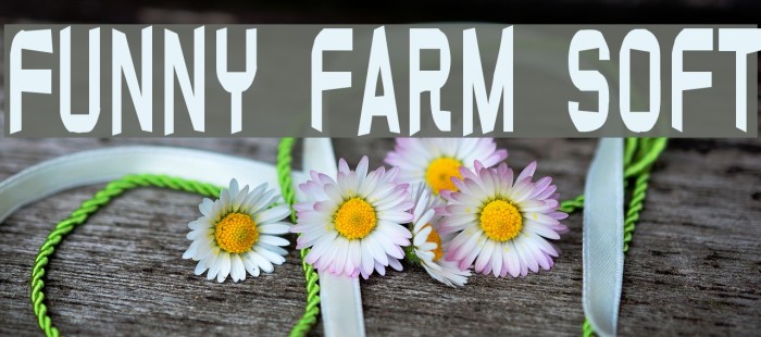 Funny farm soft Font examples