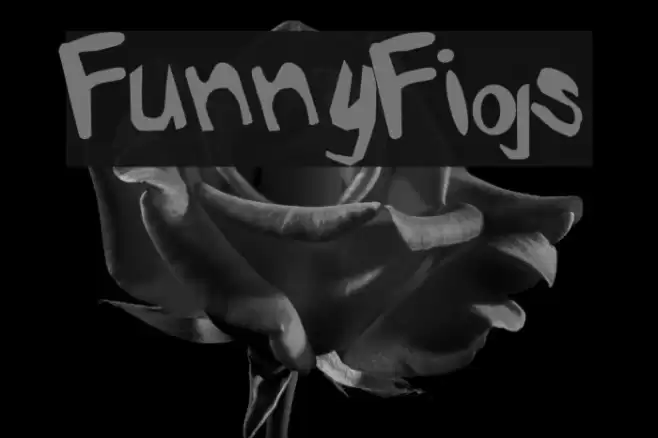 FunnyFigs Font examples
