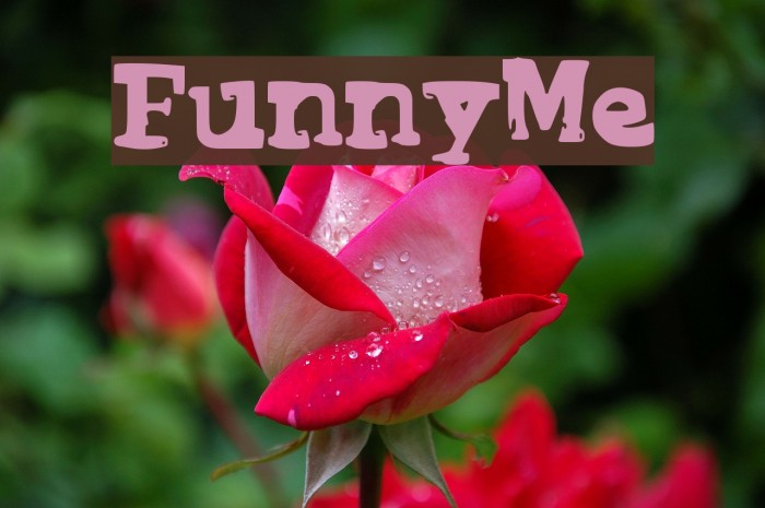 FunnyMe Font examples