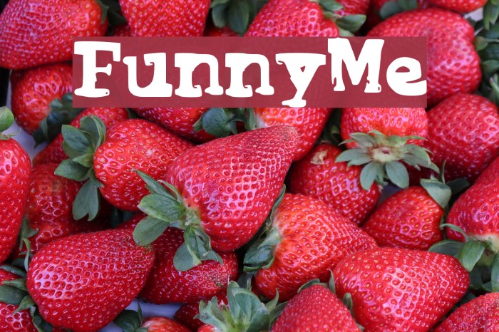 FunnyMe Font examples