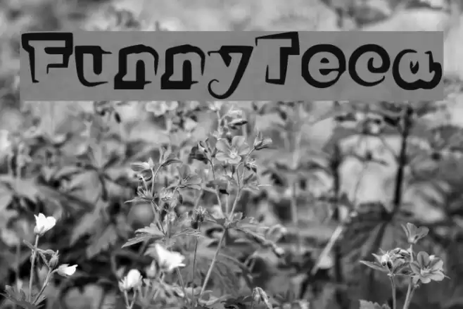 FunnyTeca Font examples