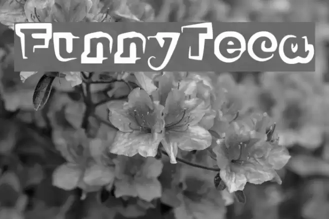 FunnyTeca Font examples
