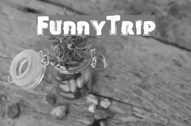 FunnyTrip Font examples