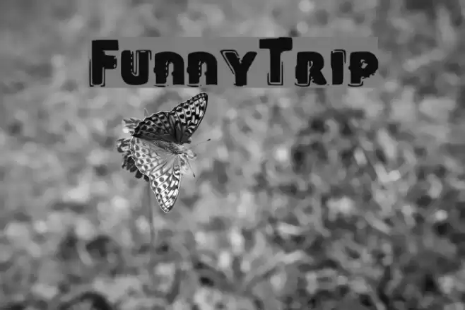 FunnyTrip Font examples