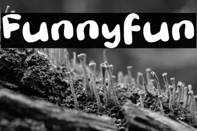 Funnyfun Font examples