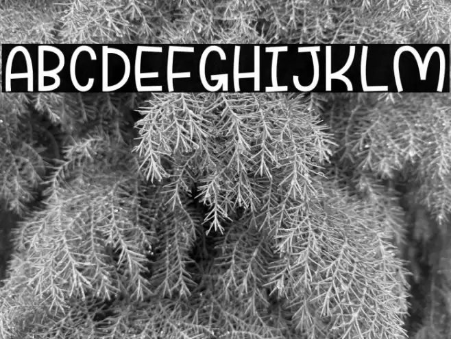 Funnyla-Demo Font examples