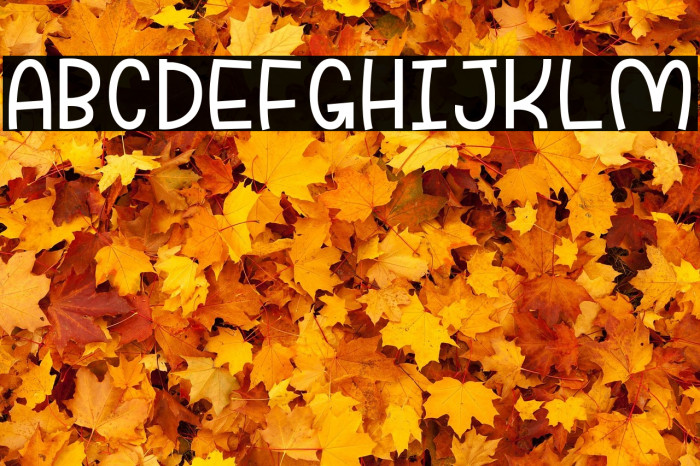 Funnyla-Demo Example 3