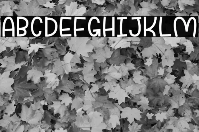 Funnyla-Demo Font examples