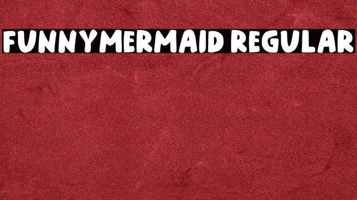 Funnymermaid Regular Example 1