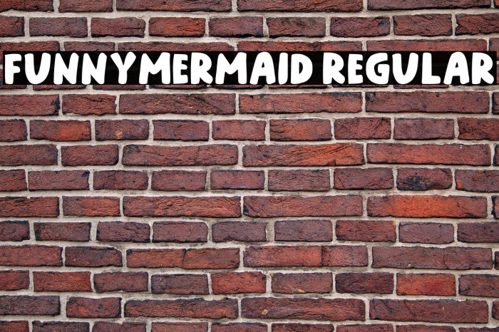 Funnymermaid Regular Example 3