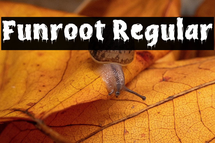 Funroot Regular Example 1