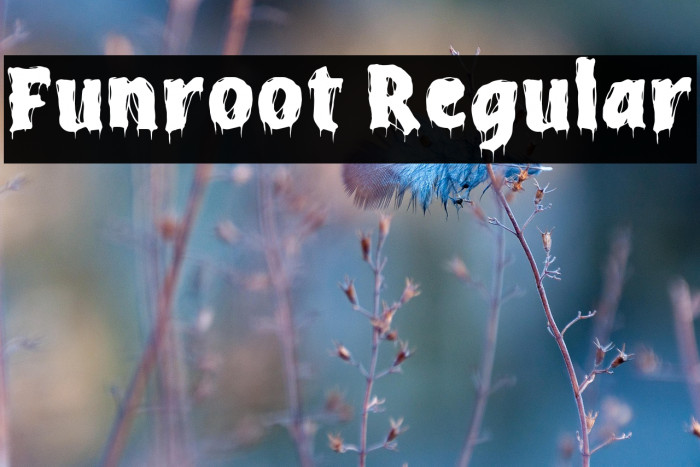 Funroot Regular Example 3